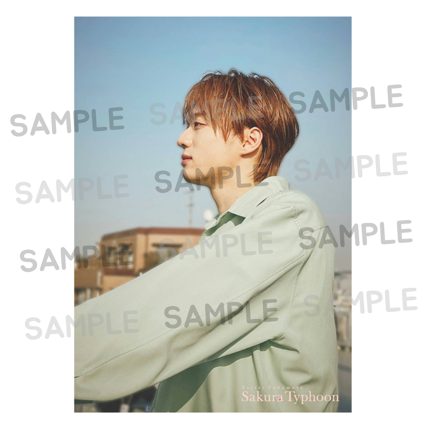 MV「Sakura Typhoon」Photo01
